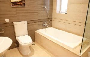 Baño de hoja de PMMA / ABS Closestool